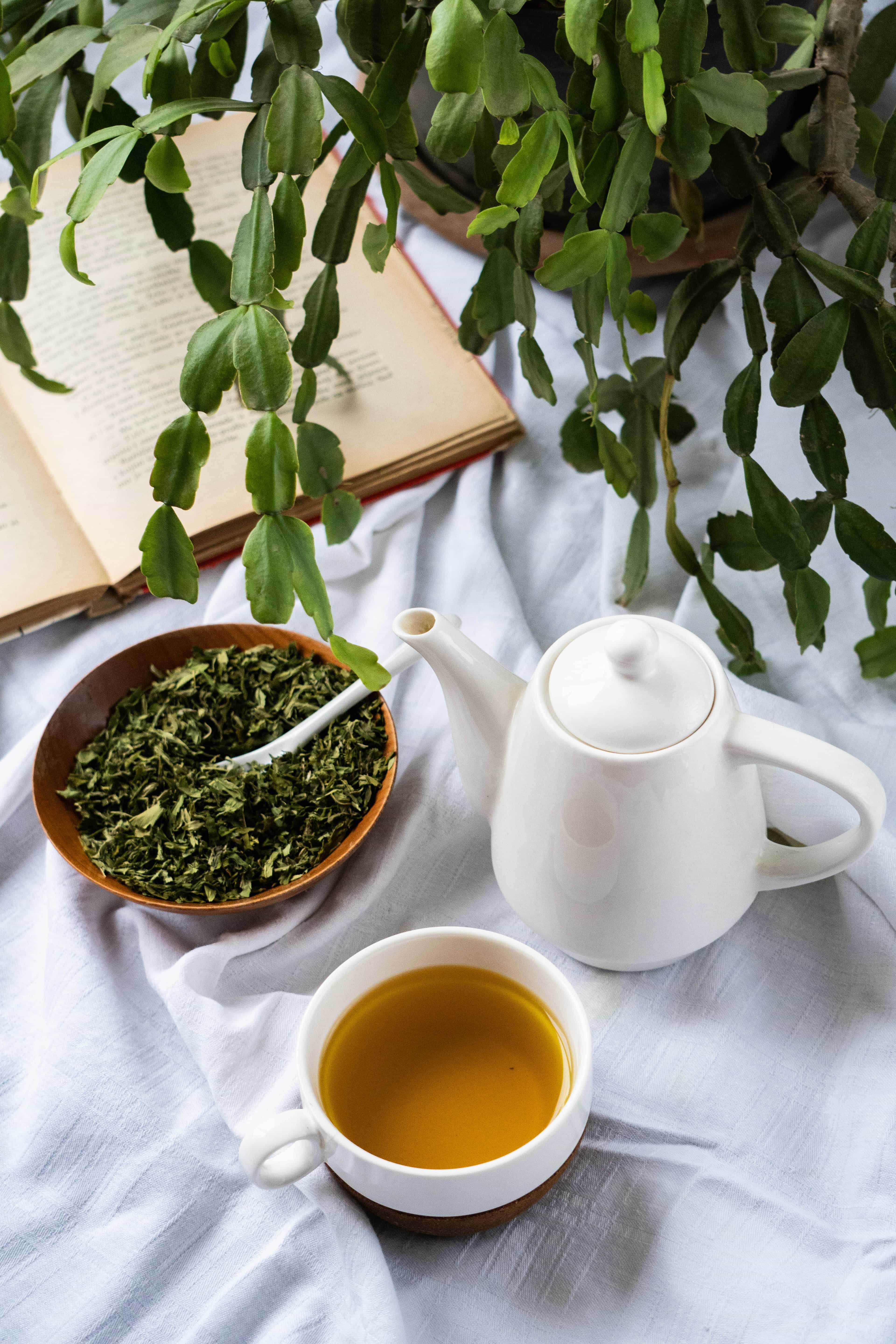 Notre nouvelle création : Thé vert aux notes de jasmin 🍵